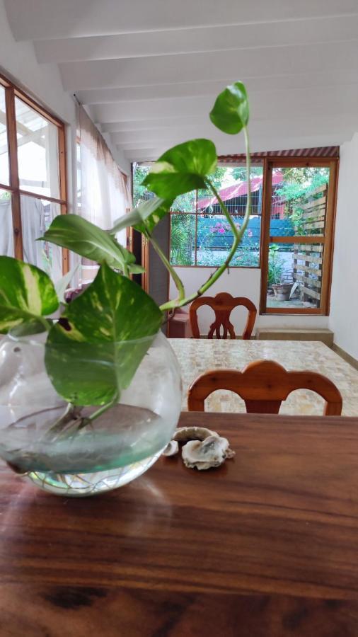 Casa Sixta A 7Min Del Aeropuerto Internacional Pmx Y 2 Cuadras Terminal Autob Ado Hotell Puerto Escondido  Exteriör bild